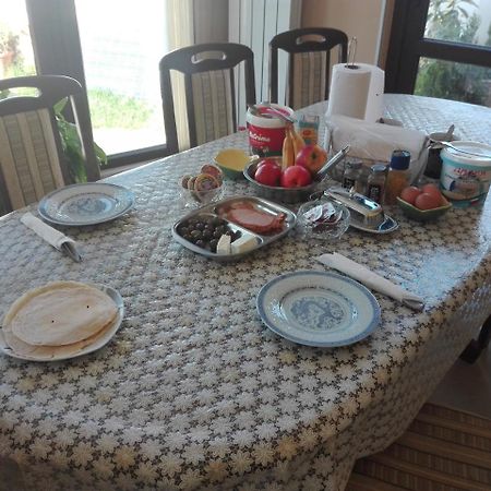 Guest House Camellia Berkovica Esterno foto