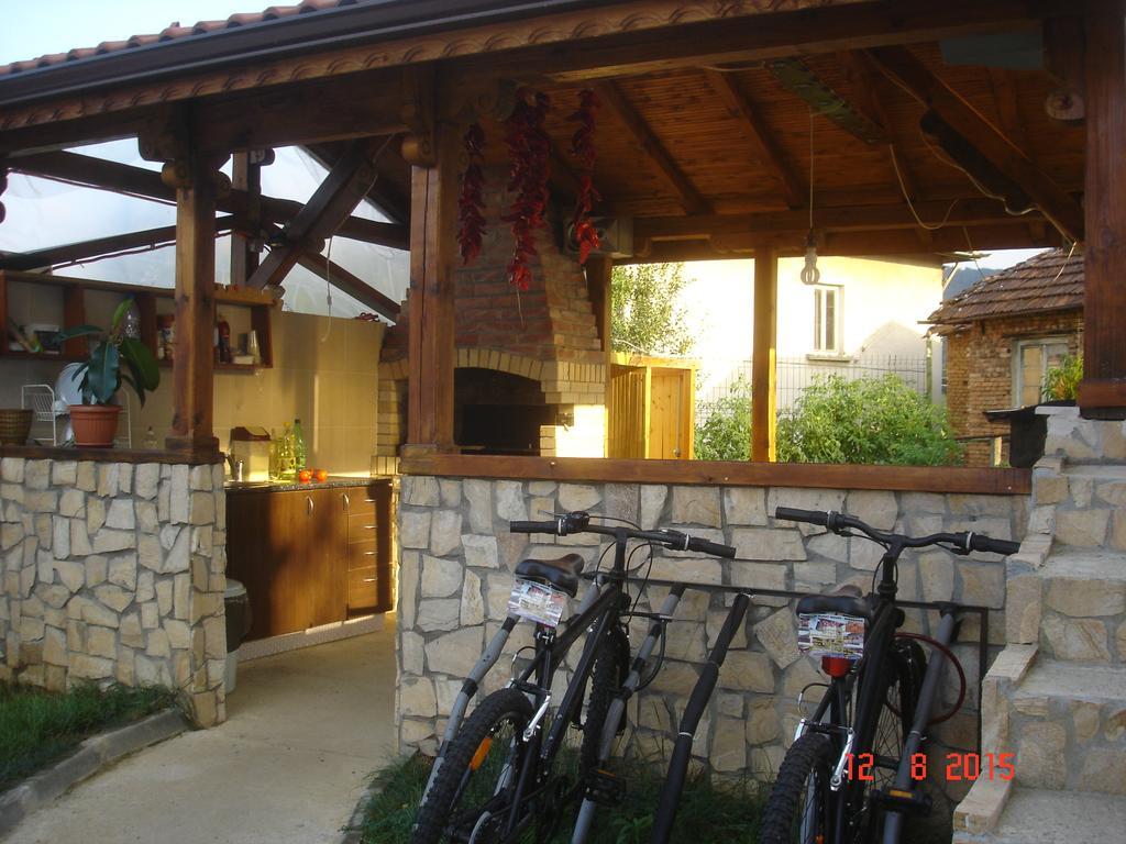 Guest House Camellia Berkovica Esterno foto