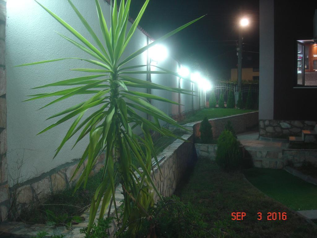 Guest House Camellia Berkovica Esterno foto