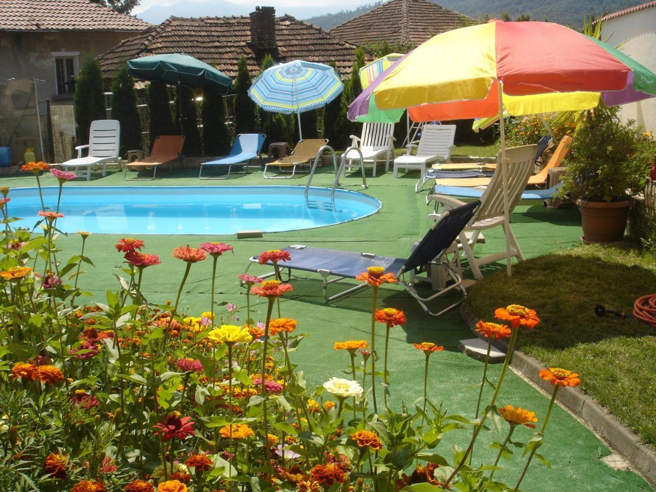 Guest House Camellia Berkovica Esterno foto