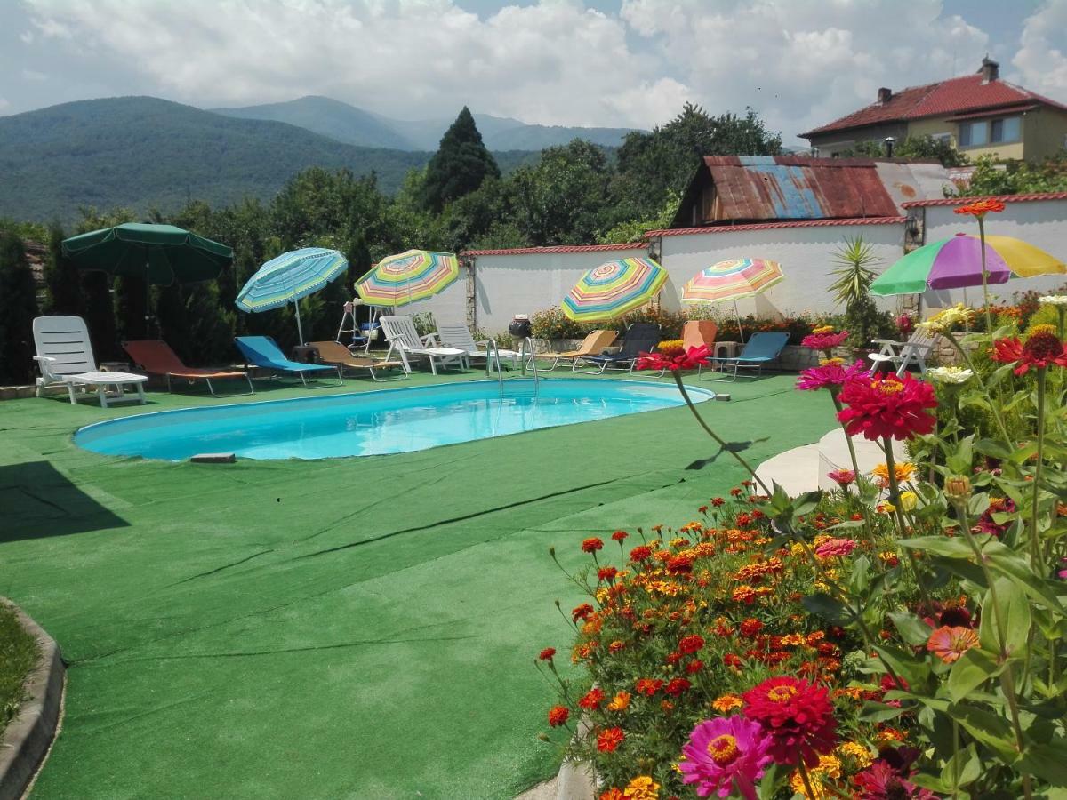 Guest House Camellia Berkovica Esterno foto